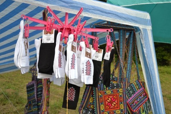 На дебютному «Франко-фесті» зібрались десятки тисяч людей та три луцькі гурти. ФОТО