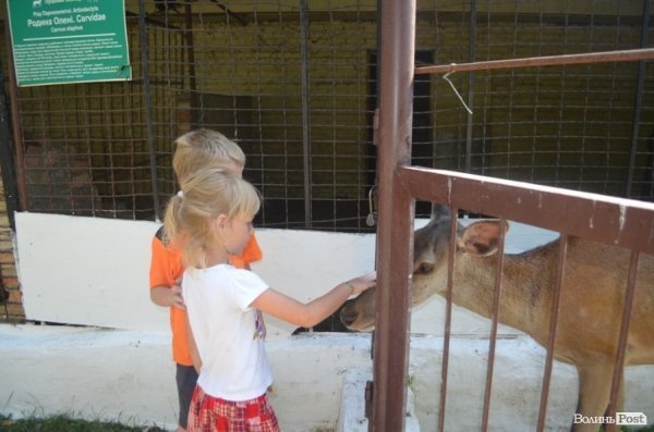Благодійна акція у Луцькому зоопарку. ФОТО
