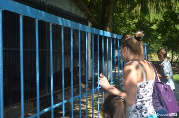 Благодійна акція у Луцькому зоопарку. ФОТО