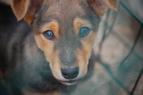 Фотовиставка Ірини Ільчук 