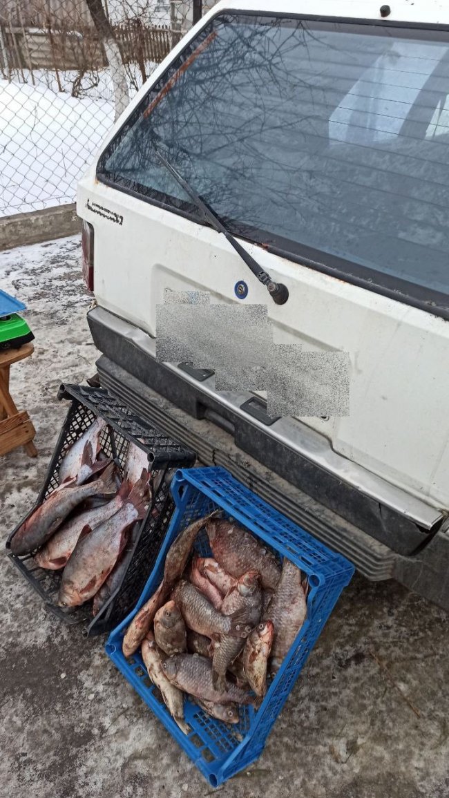 На Волині оштрафували чоловіка, який торгував рибою на трасі. ФОТО