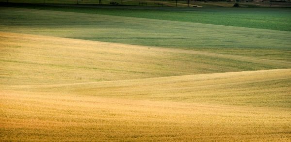 Фотовиставка Ніни Ліщук