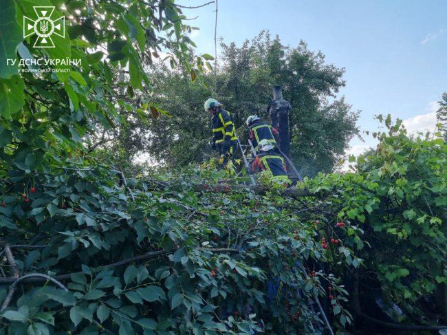 На Волині горіли дві господарські будівлі та сміття