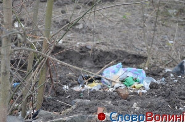 У Луцьку на «чистку» зон біля водойм виділили 600 тисяч гривень. ФОТО