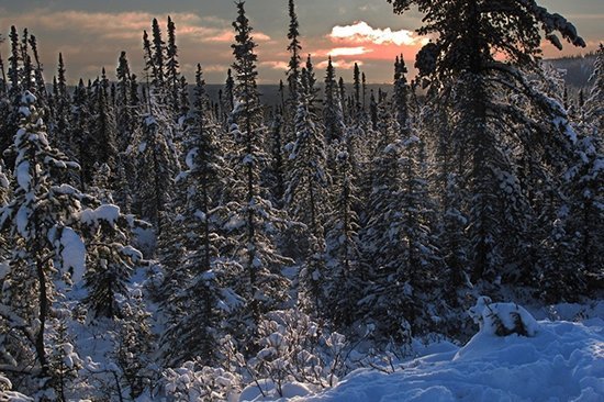 Кліматичні оказії, які можуть змінити наш світ. ФОТО