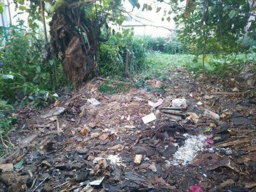 На вулиці в Луцьку демонтували сараї. ФОТО