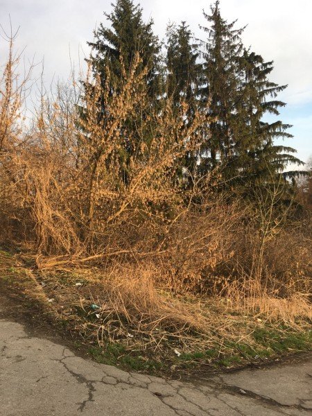 вулиця Глушець, 37А, Луцьк