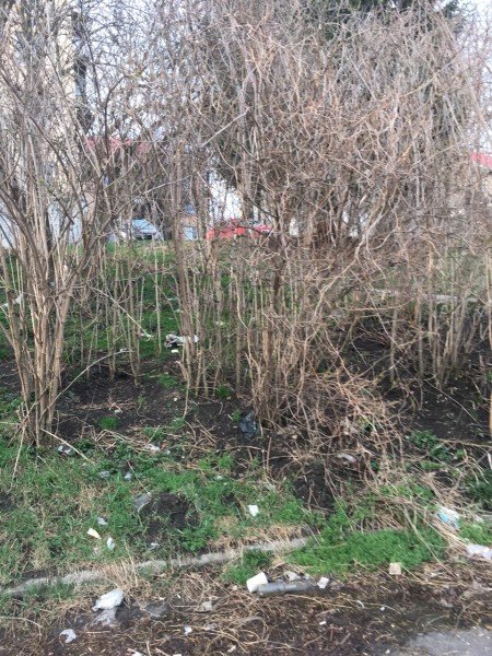 вулиця Глушець, 37А, Луцьк