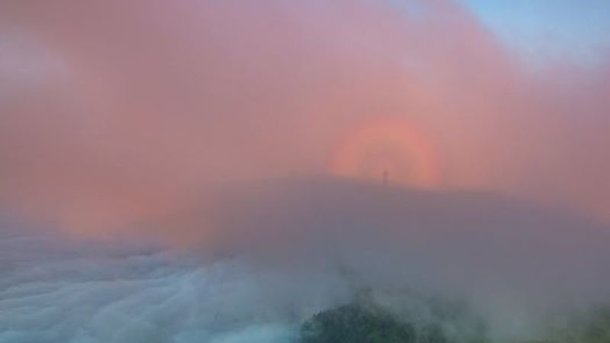 Лучанин сфотографував карпатського «привида»