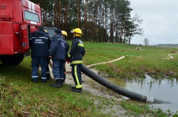 Волинські пожежники вчились рятувати ліс від пожежі. ФОТО