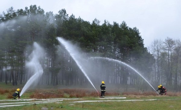 Волинські пожежники вчились рятувати ліс від пожежі. ФОТО