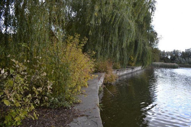 Чудовий парк на Волині заріс чагарниками і захаращений сміттям. ФОТО