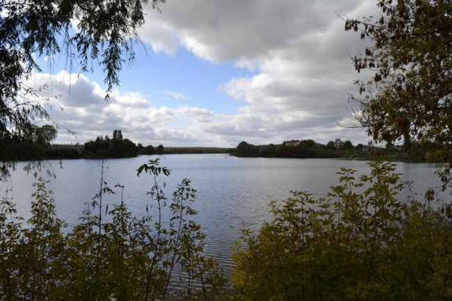 Чудовий парк на Волині заріс чагарниками і захаращений сміттям. ФОТО