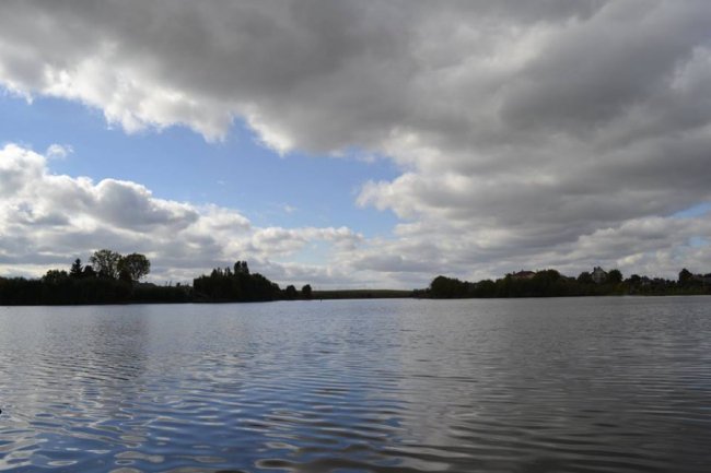 Чудовий парк на Волині заріс чагарниками і захаращений сміттям. ФОТО