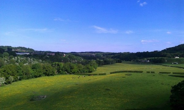 Частинка безмежно мальовничих краєвидів Уельса, Хланґохленд 04.06.2013. Автор: Тетяна Артюхова