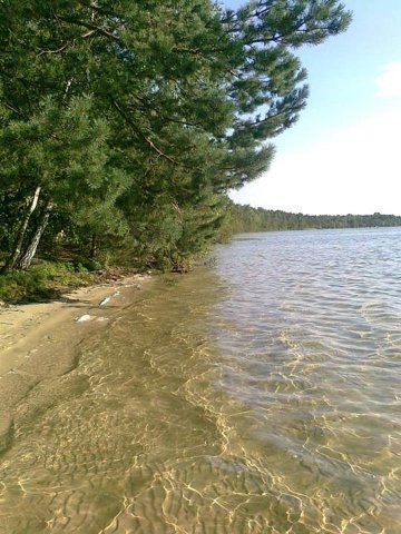 Волинський край, дорогий... 31 липня 2013 року, село Мельники, Волинь. Автор Irina Savina 