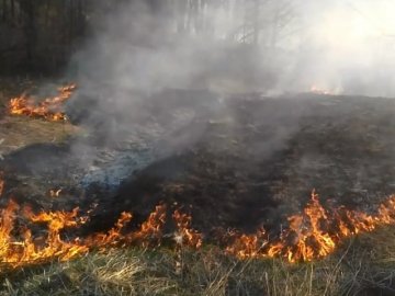 У Ковелі підпалили чагарники і траву. ВІДЕО