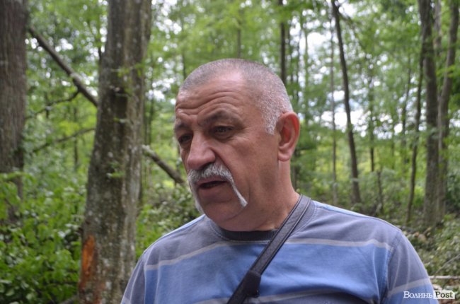 Цуманська пуща