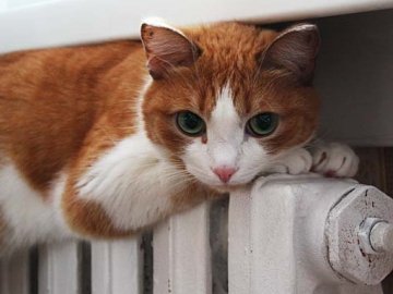 В січні майже половина Луцька може залишитись без тепла