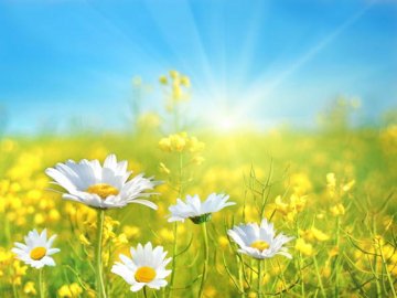 Синоптик повідомила, якою буде погода у найближчі дні