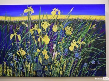 Картини для душі: у Луцькраді розпочалася виставка «квіткових» картин 