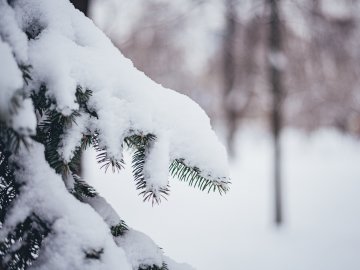 Погода в Луцьку та Волинській області на завтра, 30 січня
