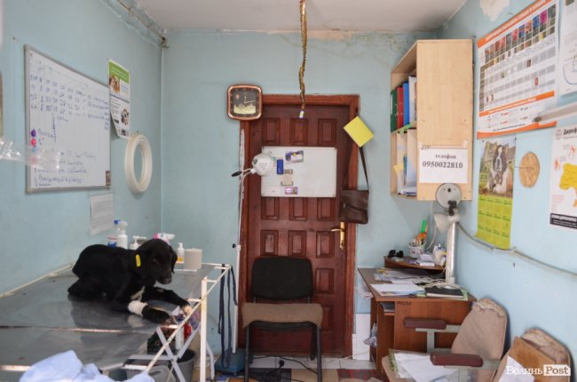 Показали умови, у яких живуть тварини в луцькій «Ласці». ФОТО