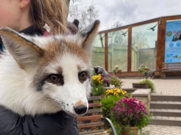 У луцькому зоопарку - поповнення. ФОТО