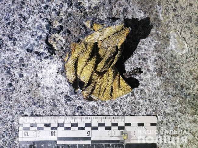 Рівненському спортсмену вночі спалили позашляховик. ФОТО