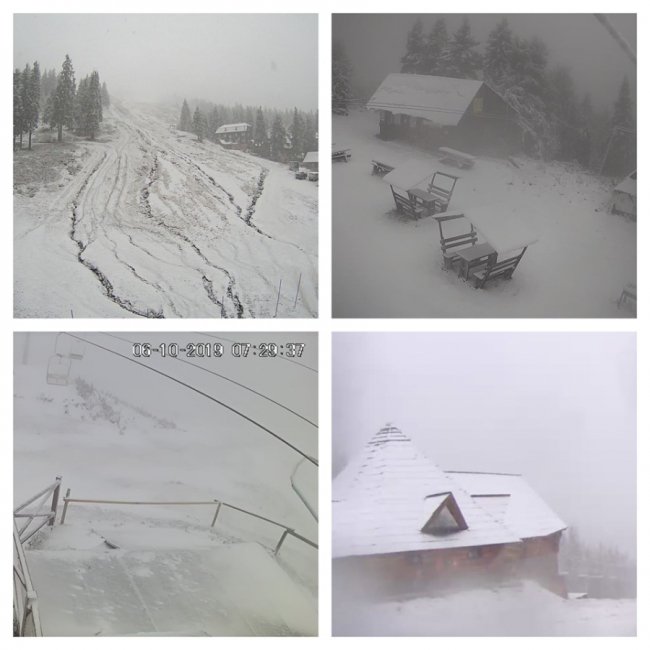 У Карпатах випав сніг. ФОТО