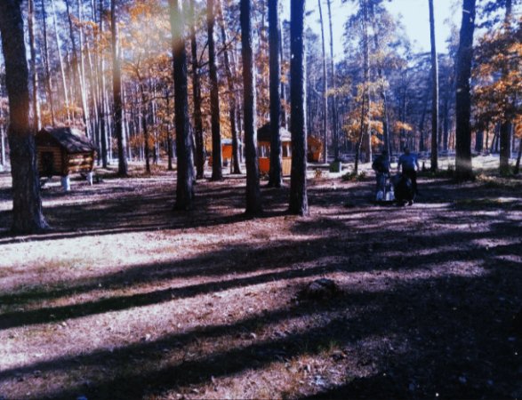 Волинські рекреаційні пункти за вихідні відвідали тисячі відпочивальників. ФОТО