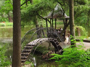 Європейці дали гроші на дендропарк біля луцької школи