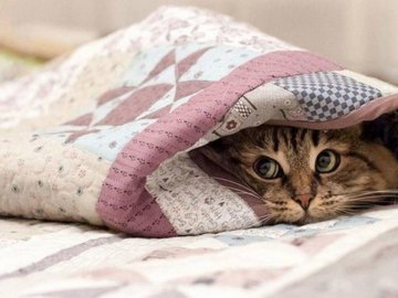 До України повертається похолодання