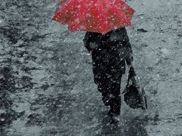 На кінець тижня в Україну прийдуть дощі