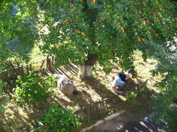 П'яні чоловіки влаштували нічліжку під вікнами лучанки. ФОТО