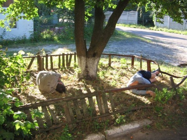 П'яні чоловіки влаштували нічліжку під вікнами лучанки. ФОТО