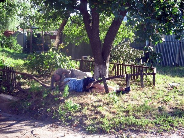 П'яні чоловіки влаштували нічліжку під вікнами лучанки. ФОТО