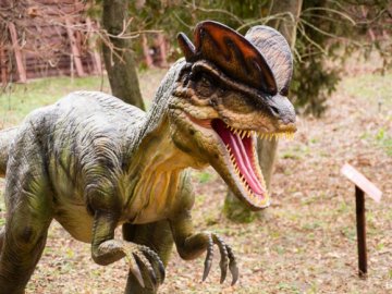 «Динопарк» у Луцьку закривається