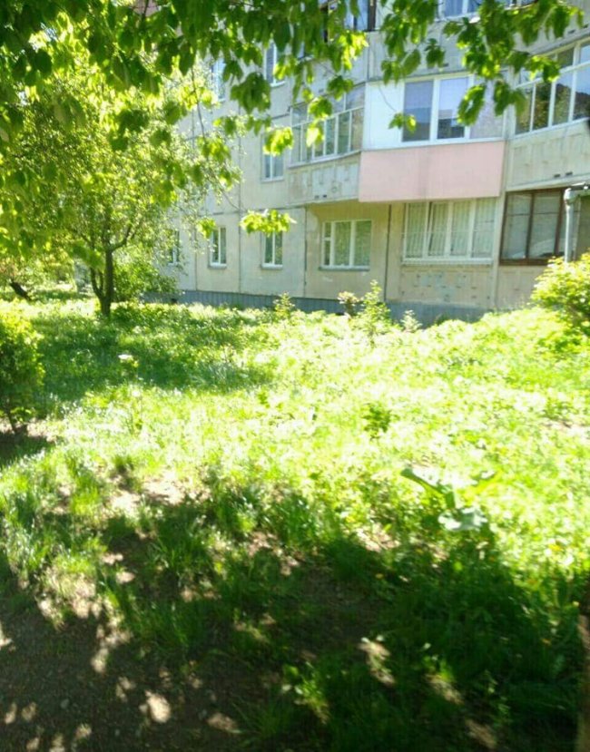 Луцькі муніципали нагадують підприємствам, щоб не забували скошувати траву на своїй території