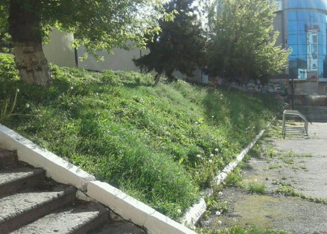 Луцькі муніципали нагадують підприємствам, щоб не забували скошувати траву на своїй території