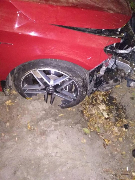 На Львівщині Mercedes з «викраденою» нареченою влетів у дерево. ФОТО