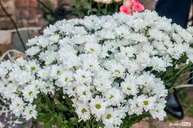 Еліта юриспруденції: у Луцьку нагородили нотаріусів з усієї області. ФОТО 