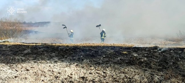 На Волині через підпал сухої трави загорівся житловий будинок