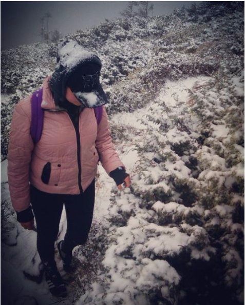 В Карпатах випав перший сніг. ФОТО