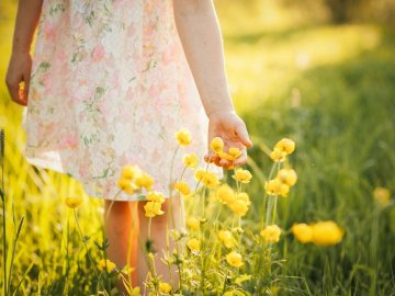 Погода у Луцьку та Волинській області на завтра, 24 серпня