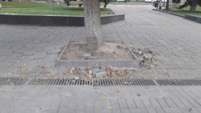 У Луцьку підприємець-новачок заробила майже півмільйона на «мутних» тендерах департаменту ЖКГ