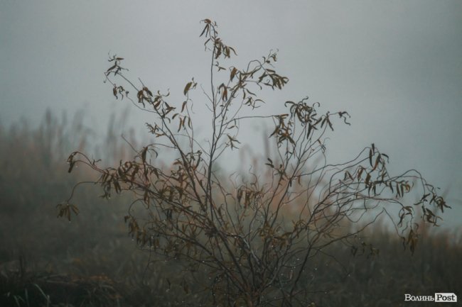 Туманний Луцьк: неймовірні фото 