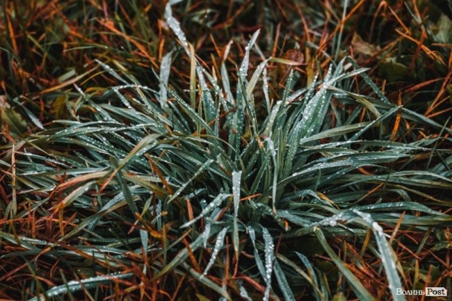 Туманний Луцьк: неймовірні фото 