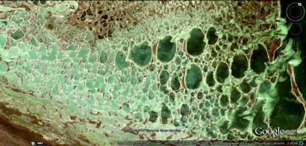 Українські Мальдіви: таємниця острова. ФОТО. ВІДЕО