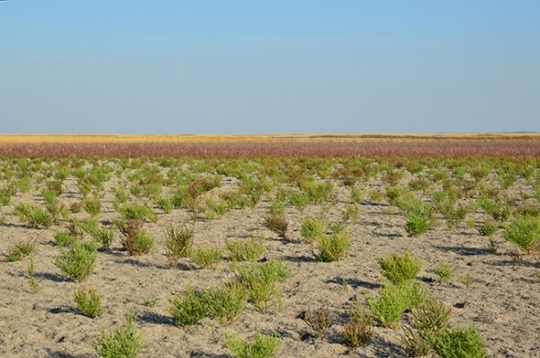 Українські Мальдіви: таємниця острова. ФОТО. ВІДЕО